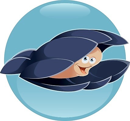 EPS 해외이미지 동물 디자인 바다 백그라운드 일러스트 자연 조개 수채화 연체동물 미술 해변 그래픽 장식 물 여름 파란색 수중 껍질 굴 흰색 산호 만화 심볼 오브젝트 그림 가리비 고립 엘리먼트 해외202004 해외일러스트 자연요소 계절 컬러 문화예술 어패류 무척추동물 자포동물 생태계 파일형식 벡터 이미지허브