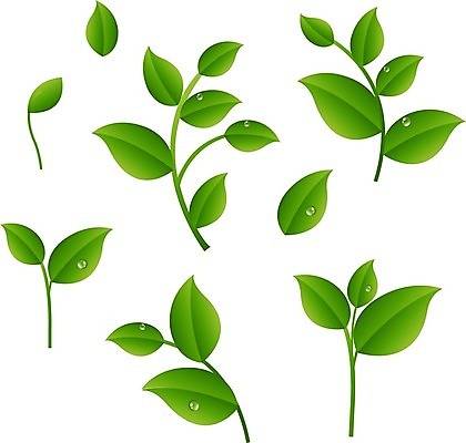 EPS 해외이미지 식물 배너 공원 포스터 백그라운드 잎 패턴 밭 일러스트 자연 벽지 놀이 추상 프레임 잔디 야외 목재 가로 초록색 여름 환경 축구 봄 활발 흰색 나뭇가지 신선 보호 허브 오브젝트 원예 질감 심플 내추럴 고립 해외202004 해외일러스트 나무 계절 공공시설 컬러 컨셉 무늬 농업 재료 취미 구기 생태계 파일형식 벡터 이미지허브