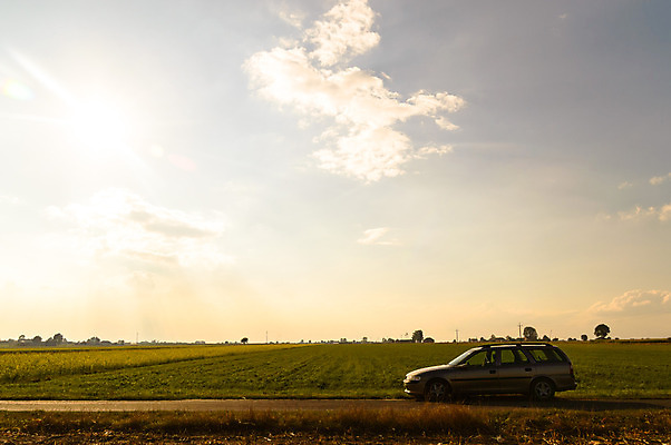 포토 JPG 해외이미지 나무 식물 구름 계절 공원 실루엣 여행 백그라운드 밭 오렌지 자연 하늘 휴가 따뜻함 그림자 풍경 사람없음 야외 빨간색 초록색 여름 파란색 빛 햇빛 태양 노란색 평화 일출 환경 침묵 황혼 일몰 새벽 황금 저녁 숲 장면 내추럴 수평선 해외202004 해외포토 자연요소 공공시설 컬러 컨셉 농업 과일 촬영기법 노을 소리 야간 생태계 파일형식 이미지허브