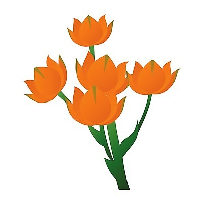 EPS 해외이미지 식물 전통 디자인 꽃 별 잎 크리스마스 겨울 꽃무늬 오렌지 일러스트 자연 휴가 장식 빨간색 초록색 축하 심볼 포인세티아 고립 베들레헴 해외202004 해외일러스트 자연요소 계절 기념일 컬러 컨셉 무늬 과일 생태계 파일형식 벡터 이벤트 이미지허브