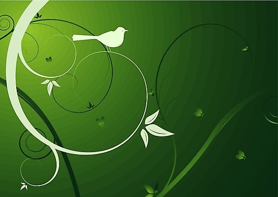 EPS 해외이미지 디자인 꽃 백그라운드 잎 꽃무늬 일러스트 자연 벽지 조류 추상 프레임 미술 그래픽 장식 초록색 봄 소용돌이 화려 계획 두루마리 내추럴 엘리먼트 해외202004 해외일러스트 식물 동물 계절 컬러 컨셉 무늬 문화예술 회오리 생태계 파일형식 벡터 이미지허브