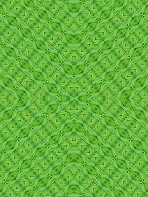 포토 JPG 해외이미지 식물 백그라운드 잎 패턴 자연 추상 사람없음 초록색 환경 정원 활발 신선 닫기 묘사 유기농 질감 생물학 내추럴 광합성 해외202004 해외포토 웰빙 교육 컬러 컨셉 무늬 모션 생태계 파일형식 이미지허브