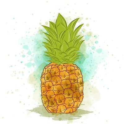 EPS 해외이미지 식물 디자인 계절 음식 조각 백그라운드 잎 농업 다이어트 과일 일러스트 자연 디저트 수채화 건강 미술 초록색 여름 컬러풀 페인트 주스 수확 신선 달콤 맛 인쇄 만화 파인애플 오브젝트 그림 유기농 질감 하와이 내추럴 고립 숙성 이국적 채식주의자 알로하 해외202004 해외일러스트 웰빙 산업 음료 컬러 컨셉 문화예술 미국 인사 열대과일 생태계 채식 파일형식 벡터 북아메리카 예절 아메리카 대륙 이미지허브