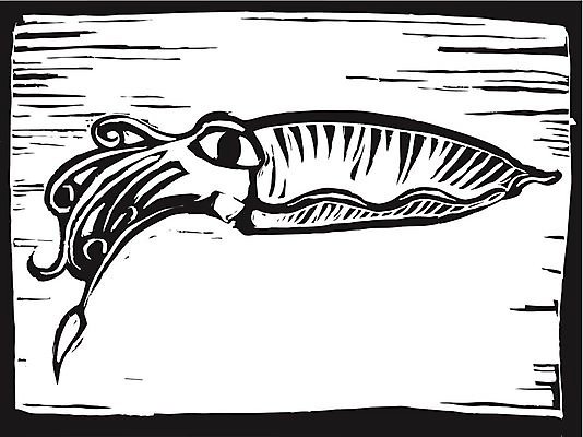 EPS 해외이미지 바다 일러스트 낚시 수영 수확 오징어 복고 사냥 부리 문어 촉수 목판화 몬스터 해외202004 해외일러스트 농업 레저 연체동물 수중동물 수상스포츠 파일형식 벡터 이미지허브