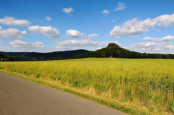 포토 JPG 해외이미지 나무 구름 계절 여행 백그라운드 밭 자연 하늘 산 풍경 사람없음 야외 초록색 여름 햇빛 태양 농장 환경 일몰 시골 숲 땅 언덕 장면 내추럴 해외202004 해외포토 자연요소 식물 컬러 농업 노을 생태계 파일형식 이미지허브