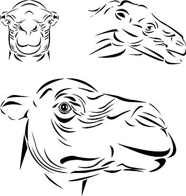 EPS 해외이미지 동물 여행 일러스트 포유류 교통시설 자연 갈색 머리 검은색 가축 흰색 스케치 라인아트 그림 낙타 혹 단봉낙타 동물상 해외202004 해외일러스트 선 컬러 교통 미술 신체부위 조형물 시설 생태계 파일형식 벡터 이미지허브