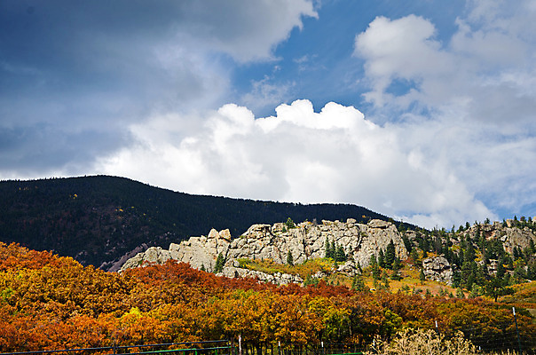 포토 JPG 해외이미지 나무 구름 하늘 산 사람없음 컬러풀 미국 가을 암초 콜로라도 해외202004 해외포토 자연요소 식물 계절 컬러 북아메리카 파일형식 이미지허브
