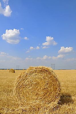 포토 JPG 해외이미지 밭 농업 자연 하늘 풍경 사람없음 그래픽 여름 농장 시골 건초더미 볏짚 그림 뭉치 밀짚 해외202004 해외포토 계절 산업 건초 짚 생태계 파일형식 더미 이미지허브