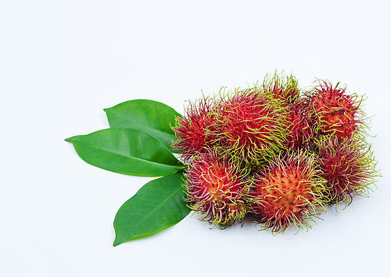 포토 JPG 해외이미지 나무 식물 계절 아시아 음식 잎 농업 다이어트 과일 재료 태국 자연 디저트 건강 씨앗 동양인 사람없음 빨간색 컬러풀 수확 신선 그룹 달콤 맛 과수원 먹기 상쾌 유기농 날것 내추럴 고립 숙성 식용 이국적 많음 해외202004 해외포토 웰빙 감정 나라 산업 컬러 컨셉 모션 인종 생태계 파일형식 이미지허브