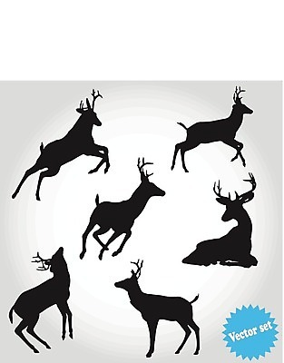 EPS 해외이미지 클립아트 동물 척추동물 디자인 실루엣 야생동물 크리스마스 겨울 일러스트 포유류 자연 사슴 뿔 동물원 그림자 미술 서기 야외 그래픽 세트 검은색 황무지 승차 숲 수집 문신 심볼 사인 그림 사냥 고립 순록 스칸디나비아 엘리먼트 엘크 해외202004 해외일러스트 계절 기념일 컬러 모션 문화예술 촬영기법 생태계 파일형식 벡터 이미지허브