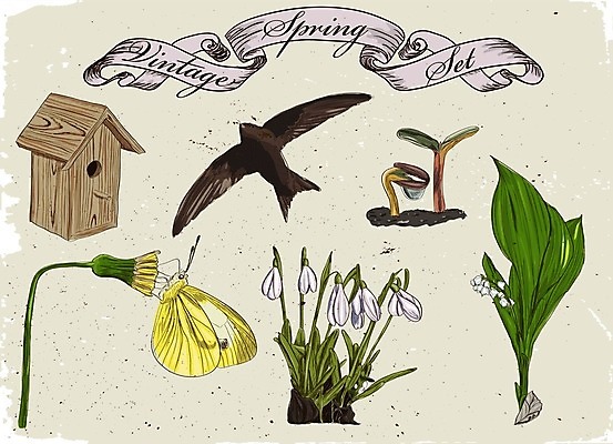 EPS 해외이미지 템플릿 배너 계절 꽃 포스터 리본 나비 곤충 백그라운드 일러스트 캘리그라피 자연 조류 여름 세트 새싹 봄 수확 시간 낙서 이슬 에코 복고 새장 제비 고립 엘리먼트 헌병 해외202004 해외일러스트 식물 동물 농업 환경 군인 생태계 케이지 파일형식 벡터 이미지허브