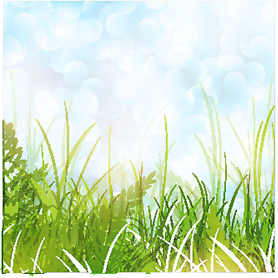 EPS 해외이미지 식물 계절 줄기 잎 꽃무늬 밭 일러스트 자연 초록색 여름 화목 봄 내추럴 양치류 카피스페이스 해외202004 해외일러스트 꽃 컬러 컨셉 무늬 농업 공백 생태계 파일형식 벡터 이미지허브