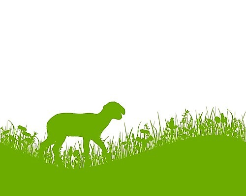 EPS 해외이미지 꽃 실루엣 백그라운드 일러스트 부활절 잔디 그래픽 초록색 정원 벚꽃 흰색 양 언덕 양고기 혹 고립 해외202004 해외일러스트 식물 기념일 컬러 포유류 촬영기법 육류 파일형식 벡터 이미지허브