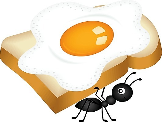 EPS 해외이미지 클립아트 동물 음식 곤충 일러스트 재료 샌드위치 건강 요리 그래픽 주방 계란 요리사 치킨 튀김 신선 프라이팬 아침식사 만화 먹기 토스트 개미 노른자 수유 해외202004 해외일러스트 직업 빵 모션 주방용품 알 식사 닭고기요리 파일형식 벡터 이미지허브