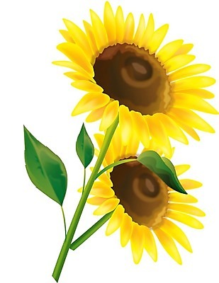 EPS 해외이미지 식물 꽃 행복 백그라운드 잎 꽃무늬 오렌지 일러스트 자연 해바라기 씨앗 여름 컬러풀 노란색 정원 봄 벚꽃 흰색 원형 유기농 원예 내추럴 고립 현실 해외202004 해외일러스트 도형 웰빙 계절 감정 컬러 무늬 과일 취미 생태계 파일형식 벡터 이미지허브