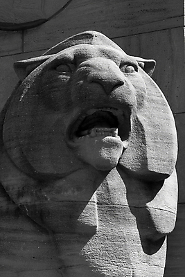 포토 JPG 해외이미지 사람없음 조각상 사자 시멘트 천연기념물 해외202004 해외포토 포유류 조형물 파일형식 이미지허브