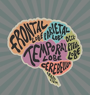 EPS 해외이미지 교육 과학 생각 일러스트 해부 학교 아이디어 사람 스터디 라벨 회색 흰색 네트워크 오르간 불안 뇌 생물학 문제 해외202004 해외일러스트 감정 컬러 컨셉 의학 프레임 학습 건반악기 파일형식 벡터 이미지허브