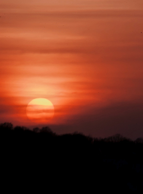 포토 JPG 해외이미지 구름 실루엣 여행 백그라운드 오렌지 자연 하늘 풍경 사람없음 여름 빛 태양 노란색 일출 어둠 일몰 봄 새벽 안개 도시 야간 저녁 스카이라인 넘어짐 수평선 해외202004 해외포토 자연요소 계절 컬러 과일 모션 날씨 촬영기법 노을 생태계 파일형식 이미지허브