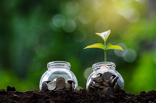 포토 JPG 해외이미지 식물 손 백그라운드 컨셉 잎 돈 비즈니스 유리 성공 씨앗 안전 사람없음 건물 금융 경제 동전 저축 저금통 성장 흰색 항아리 절약 황금 계획 컨테이너 투자 이익 대출 계좌 관심 넣기 수입 자금 투자자 해외202004 해외포토 건축물 산업 컬러 모션 재질 신체부위 도자기 재산 파일형식 이미지허브