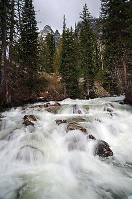 포토 JPG 해외이미지 자연 국립공원 풍경 사람없음 야외 초록색 물 파란색 강 미국 폭포 흐름 개울 황무지 급류 숲 와이오밍 해외202004 해외포토 자연요소 공원 컬러 컨셉 북아메리카 생태계 파일형식 이미지허브