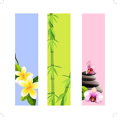 EPS 해외이미지 클립아트 나무 식물 템플릿 디자인 배너 꽃잎 꽃 선 백그라운드 잎 꽃무늬 일러스트 자연 휴식 야외 세로 여름 세트 꼬리표 평화 일본 스파 중국 봄 벚꽃 바위 나뭇가지 그리기 난초 수집 심볼 대나무 그림 하와이 발리 이국적 스타일 해외202004 해외일러스트 계절 아시아 섬 컨셉 무늬 모션 라벨 미국 돌_바위 생태계 인도네시아 파일형식 벡터 이미지허브