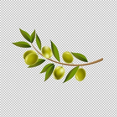 EPS 해외이미지 모양 나무 열매 길 음식 잎 채소 과일 일러스트 재료 건강 미술 목재 초록색 이탈리아 샐러드 흰색 나뭇가지 신선 양념 액체 스페인 그리스 오브젝트 유기농 올리브 파일 날것 고립 숙성 채식주의자 해외202004 해외일러스트 식물 웰빙 유럽 컬러 문화예술 채식 파일형식 벡터 이미지허브