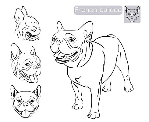 EPS 해외이미지 동물 얼굴 백그라운드 일러스트 포유류 앉기 반려동물 갈색 검은색 흰색 개 강아지 작음 스케치 그림 귀 불독 송곳니 프랑스어 고립 기르기 동반자 해외202004 해외일러스트 문자 컬러 모션 미술 신체부위 치아 크기 돌봄 파일형식 벡터 이미지허브