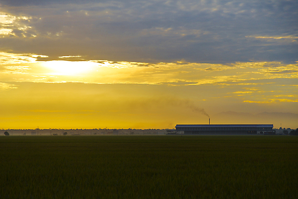 포토 JPG 해외이미지 식물 산업 비즈니스 공장 태국 밥 굴뚝 잔디 사람없음 초록색 경제 파란색 농작물 태양 농장 농경지 일출 일본 일몰 장비 광선 제조 무역 날것 무거움 말레이시아 논밭 카피스페이스 해외202004 해외포토 자연요소 아시아 음식 컬러 밭 농업 공업 논 노을 공백 무게 파일형식 이미지허브