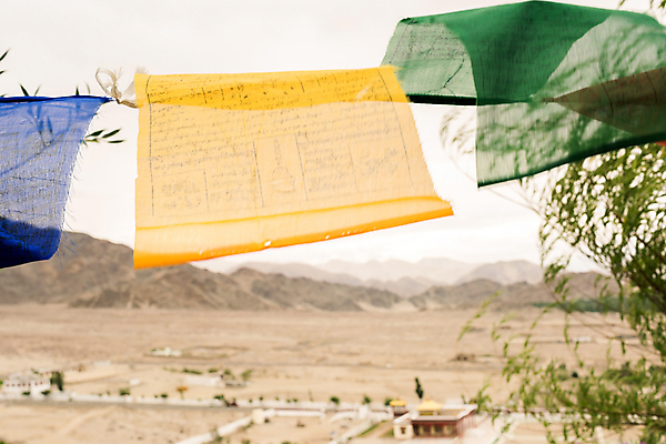 포토 JPG 해외이미지 건축양식 자연 풍경 사람없음 내추럴 해외202004 해외포토 건축 생태계 파일형식 이미지허브