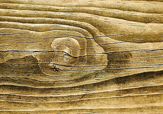 포토 JPG 해외이미지 디자인 외관 벽 백그라운드 패턴 자연 탁자 표면 날씨 추상 바닥 그림자 사람없음 목재 장식 갈색 수확 시골 기둥 소나무 판넬 얼룩 구멍 거친 널 낟알 방향 타일 책상 질감 복고 목공예 내추럴 그런지 수목 옛날 파케트 해외202004 해외포토 나무 건축 컬러 가구 무늬 농업 재료 공예 생태계 파일형식 이미지허브