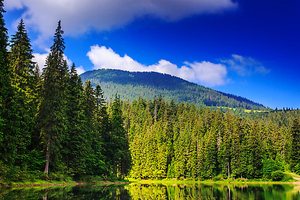 포토 JPG 해외이미지 나무 구름 공원 호수 여행 자연 하늘 산 풍경 사람없음 야외 초록색 물 여름 파란색 반사 평화 일출 맑음 침묵 봄 연못 황무지 숲 내추럴 절정 해외202004 해외포토 자연요소 식물 계절 공공시설 컬러 컨셉 날씨 노을 소리 생태계 파일형식 이미지허브