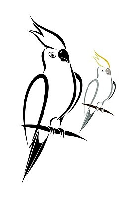 EPS 해외이미지 공원 날개 일러스트 자연 조류 주택 노란색 검은색 회색 흰색 숲 스케치 심볼 깃털 부리 앵무새 이국적 해외202004 해외일러스트 동물 공공시설 컬러 미술 건물 생태계 파일형식 벡터 이미지허브