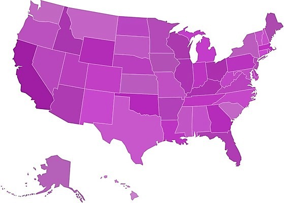 EPS 해외이미지 분홍색 백그라운드 지도 일러스트 미국 공백 흰색 그늘 제비꽃 오브젝트 대륙 하와이 심플 알래스카 고립 지도책 지리 해외202004 해외일러스트 꽃 컬러 북아메리카 책 파일형식 벡터 이미지허브