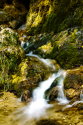 포토 JPG 해외이미지 식물 전구 자연 사람없음 초록색 물 빛 폭포 흐름 시간 그늘 해외202004 해외포토 자연요소 컬러 컨셉 생태계 파일형식 이미지허브