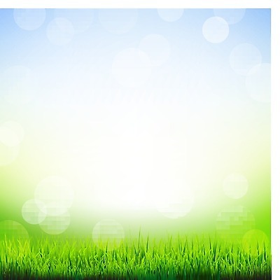 EPS 해외이미지 식물 계절 백그라운드 잎 밭 일러스트 자연 하늘 미술 풍경 잔디 야외 초록색 여름 파란색 빛 햇빛 태양 환경 수확 소프트포커스 땅 보케 자연백그라운드 블러 수평선 해외202004 해외일러스트 자연요소 컬러 농업 문화예술 촬영기법 생태계 파일형식 벡터 이미지허브