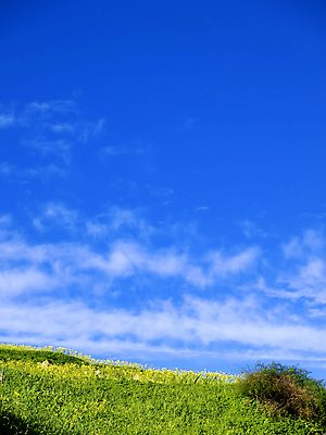 포토 JPG 해외이미지 구름 계절 꽃 도로 백그라운드 컨셉 밭 자연 하늘 풍경 경사 사람없음 초록색 환경 봄 산책 하이킹 시골 언덕 엽서 몰타섬 생태학 원정 특별함 그리너리 해외202004 해외포토 자연요소 식물 교육 길 컬러 섬 농업 교통시설 레저 휴식 편지 생태계 몰타 파일형식 트랜드컬러 이미지허브