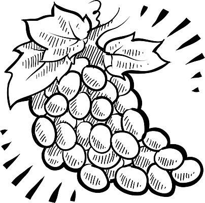 EPS 해외이미지 잡화 계절 음식 채소 과일 일러스트 포도 요리 빨간색 농장 주방 보라색 저녁식사 흰색 신선 달콤 맛 아침식사 낙서 스케치 다발 그림 레시피 성분 점심식사 고립 해외202004 해외일러스트 컬러 컨셉 농업 미술 식사 파일형식 벡터 이미지허브