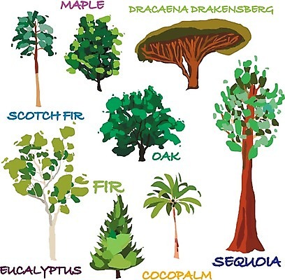 EPS 해외이미지 나무 식물 계절 실루엣 단풍 잎 꽃무늬 일러스트 자연 손바닥 미술 목재 장식 초록색 여름 세트 컬러풀 정원 봄 가을 나뭇가지 소나무 낙서 숲 수집 그림 에코 윤곽 전나무 생태학 엘리먼트 옛날 유칼립투스 스타일 해외202004 해외일러스트 손 교육 꽃 컬러 무늬 재료 문화예술 촬영기법 환경 생태계 파일형식 벡터 이미지허브