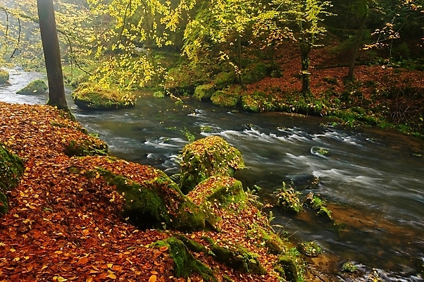 포토 JPG 해외이미지 나무 계절 공원 백그라운드 잎 오렌지 자연 벽지 산 풍경 사람없음 야외 빨간색 초록색 물 강 컬러풀 햇빛 노란색 놀람 새벽 폭포 흐름 가을 바위 개울 황금 숲 장면 내추럴 해외202004 해외포토 자연요소 식물 공공시설 감정 컬러 컨셉 과일 표정 태양 돌_바위 생태계 파일형식 이미지허브