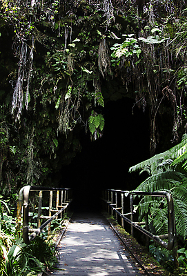 포토 JPG 해외이미지 공원 섬 여행 밭 이끼 사람없음 검은색 어둠 펼침 터널 동굴 큼 땅 화산 하와이 용암 튜브 지하 깊이 양치류 울퉁불퉁 전국 해외202004 해외포토 공공시설 길 컬러 농업 모션 산 미국 크기 파일형식 이미지허브