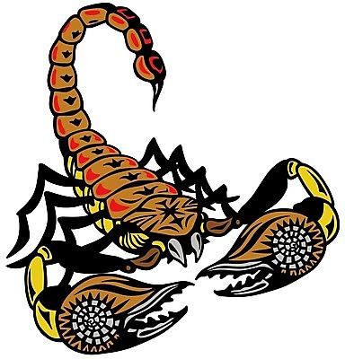 EPS 해외이미지 동물 야생동물 절지류 일러스트 자연 하늘 생물 독약 재산 위험 신비 전갈 문신 심볼 사인 흰배경 점성술 마법 전갈자리 고립 마스코트 이국적 집게발 해외202004 해외일러스트 백그라운드 컨셉 금융 별자리 흰색 생태계 파일형식 벡터 이미지허브