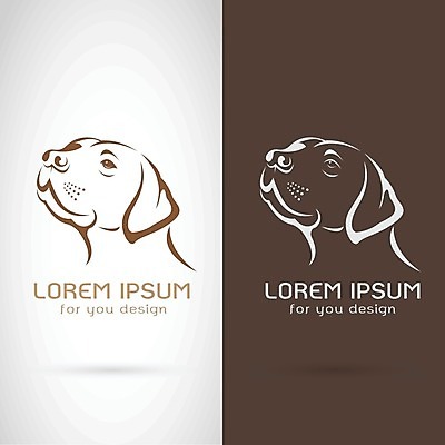 EPS 해외이미지 일러스트 사람없음 반려동물 갈색 흰색 개 강아지 해외202004 해외일러스트 동물 컬러 포유류 파일형식 벡터 이미지허브