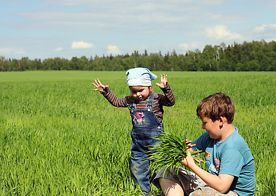 포토 JPG 해외이미지 밭 자연 놀이 휴식 소년 두명 여름 청춘 봄 기쁨 떠남 반가움 해외202004 해외포토 계절 남자 감정 어린이 컨셉 농업 모션 사람 생태계 파일형식 이미지허브