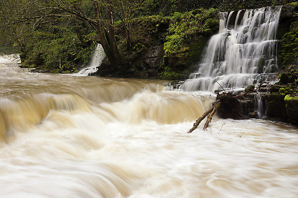 포토 JPG 해외이미지 나무 자연 독일 풍경 사람없음 물 강 골짜기 계곡 나뭇가지 개울 급류 해외202004 해외포토 자연요소 식물 유럽 생태계 파일형식 이미지허브