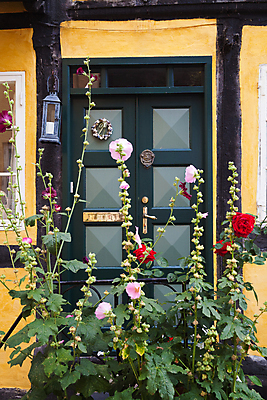 포토 JPG 해외이미지 꽃 주택 사람없음 목재 장식 노란색 문 중세 옛날 해외202004 해외포토 나무 식물 컬러 재료 건물 역사 파일형식 이미지허브