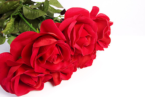 포토 JPG 해외이미지 꽃 꽃다발 결혼 백그라운드 꽃무늬 사랑 사람없음 빨간색 장미 직물 다발 배열 거짓 고립 해외202004 해외포토 식물 감정 컬러 무늬 이벤트 파일형식 이미지허브