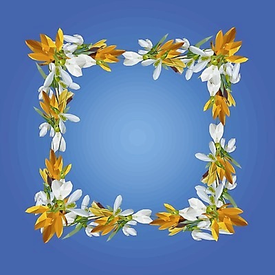 EPS 해외이미지 식물 디자인 배너 계절 꽃 행복 포스터 꽃다발 백그라운드 일러스트 캘리그라피 자연 휴가 부활절 프레임 손바닥 장식 여름 정원 축제 고양이 화환 봄 수확 벚꽃 흰색 나뭇가지 축하 인사 원형 신용카드 플랫 버드나무 질감 정사각형 초대 수선화 고립 스노드롭 헌병 레터링 해외202004 해외일러스트 도형 나무 손 기념일 감정 컬러 컨셉 농업 포유류 금융 반려동물 군인 예절 생태계 파일형식 벡터 이미지허브