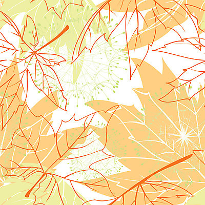 EPS 해외이미지 모양 나무 식물 계절 실루엣 백그라운드 단풍 잎 꽃무늬 패턴 오렌지 일러스트 자연 벽지 추상 그래픽 초록색 컬러풀 갈색 노란색 가을 흰색 나뭇가지 질감 해외202004 해외일러스트 꽃 컬러 무늬 과일 촬영기법 생태계 파일형식 벡터 이미지허브