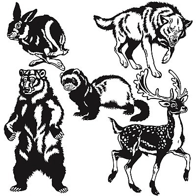 EPS 해외이미지 동물 척추동물 유럽 야생동물 일러스트 곰 포유류 자연 사슴 생물 뿔 흑백 동물원 목재 세트 환경 토끼 황무지 설치류 숲 수집 대륙 그림 생물학 육식동물 서식지 늑대 동물상 수목 해외202004 해외일러스트 나무 교육 나라 재료 촬영기법 반려동물 조형물 생태계 파일형식 벡터 이미지허브