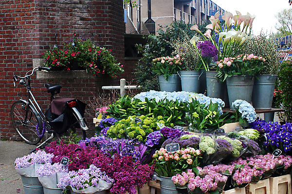 포토 JPG 해외이미지 식물 꽃 유럽 분홍색 꽃다발 여행 꽃무늬 비즈니스 거리 종류 서기 사람없음 야외 초록색 파란색 쇼핑 컬러풀 장미 판매 세일 상점 정원 꽃병 보라색 활발 수확 신선 그룹 시장 선택 구매 가격 자르기 다발 배열 꽃집 보따리 네덜란드 매각 많음 해외202004 해외포토 나라 컬러 컨셉 무늬 농업 모션 파일형식 이미지허브